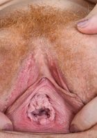 ATK Natural & Hairy: Abby Rain (Abby Rain in young and hairy)