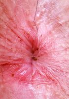 ATK Petites: Ali Jones (Ali Jones is the fun girl next door)