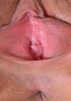 Ashley Adams in lesbian, Ashley Adams (ash068) ATK Petites: Ashley Adams (Ashley Adams in lesbian)