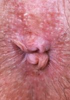 Asteria Jade from ATK Galleria