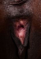 Bella Dahl in exotic and hairy, Bella Dahl (bel052) ATK Natural & Hairy: Bella Dahl (Bella Dahl in exotic and hairy)
