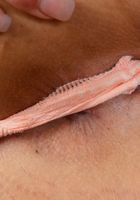Blair Summers Has a Fantastic Young Body, Blair Summers (bla012) ATK Exotics: Blair Summers (Blair Summers Has a Fantastic Young Body)