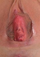 Bonnie spreads her tight pink pussy, Bonnie Kinz (bon019) ATK Galleria: Bonnie Kinz (Bonnie spreads her tight pink pussy)