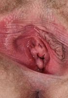Claire Daze in young and hairy, Claire Daze (cla069) ATK Natural & Hairy: Claire Daze (Claire Daze in young and hairy)