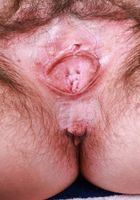 ATK Natural & Hairy: Annabelle Lee (Annabelle Lee is in pretty pink bra and panties)