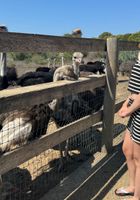 ATK Girlfriends: Dez Hansen (ATK Girlfriends Dez Hansen Photo Set)