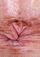 Dolly Paige from ATK Galleria