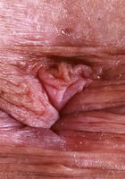 Dolly Paige from ATK Galleria