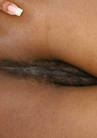 ATK Exotics: Felicia (Felicia shows that hot bush)