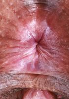 ATK Exotics: Isabella Jules (Sporty Isabella Jules Strips and Spreads)