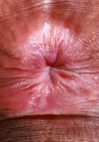 Isabella Jules from ATK Exotics