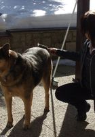 Jedda in candid, Jedda (jed002) ATK Premium: Jedda (Jedda in candid)