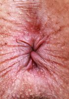 Kate Legend from ATK Exotics