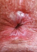 Katerina Karson from ATK Petites