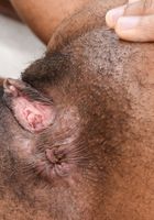 Olivia Green in exotic and hairy, Olivia Green (oli032) ATK Natural & Hairy: Olivia Green (Olivia Green in exotic and hairy)
