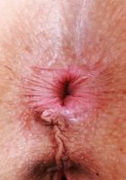 Ophelia Fae from ATK Galleria