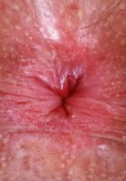 ATK Natural & Hairy: Pearl Sage (Pearl Sage strips and pees a bit)