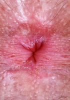 Pearl Sage from ATK Natural & Hairy