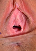 Penelope Reed in latinas, Penelope Reed (pen027) ATK Exotics: Penelope Reed (Penelope Reed in latinas)