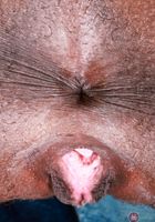 Poppy Cox from ATK Exotics