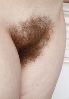 Quinn Helix in young and hairy, Quinn Helix (qui007) ATK Natural & Hairy: Quinn Helix (Quinn Helix in young and hairy)