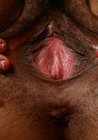 Rhys Adams in exotic and hairy, Rhys Adams (rhy001) ATK Natural & Hairy: Rhys Adams (Rhys Adams in exotic and hairy)