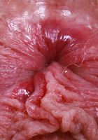 Sahara Skye from ATK Natural & Hairy