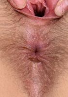 Rebecca Vanguard in young and hairy, Rebecca Vanguard (sai003) ATK Natural & Hairy: Rebecca Vanguard (Rebecca Vanguard in young and hairy)