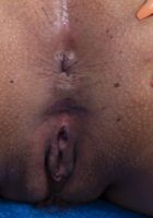 Selma Sins in latinas, Selma Sins (sal021) ATK Exotics: Selma Sins (Selma Sins in latinas)